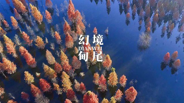 学习插花艺术