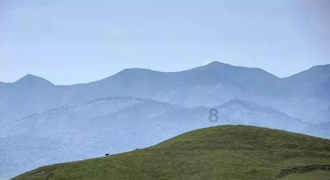 乾安法院：高效协助异地执行 共同维护司法权威