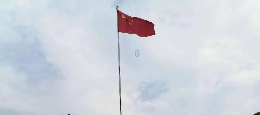 植物大战僵尸反击篇