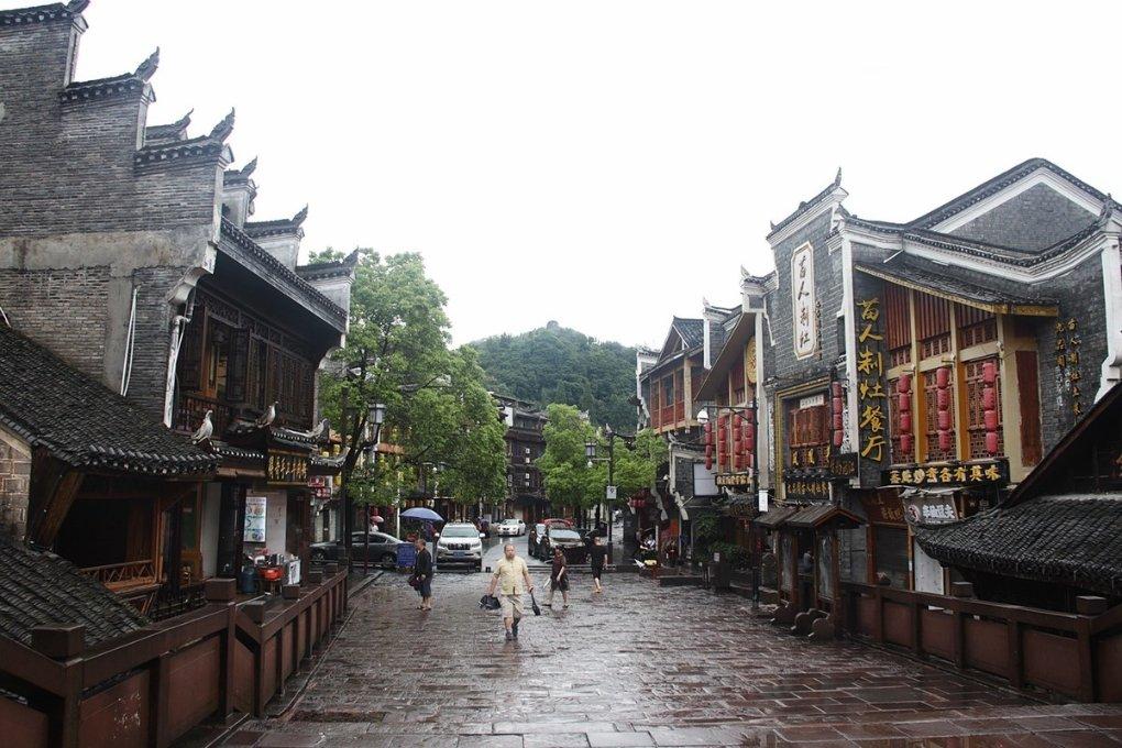 2024江苏两会|江兴林代表:让人与自然和谐共生的“麋鹿的天堂”更美好