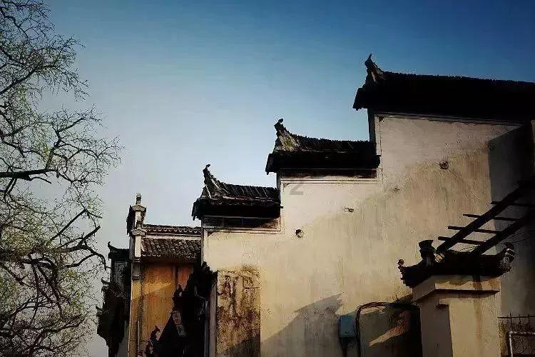 我是孙二谋